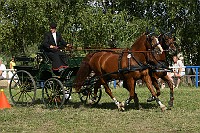 IMG_0083