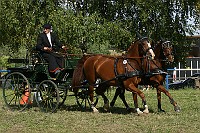 IMG_0084