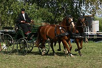 IMG_0085