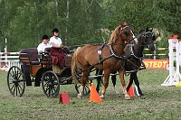 IMG_0087
