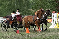IMG_0088