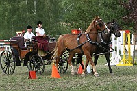 IMG_0089