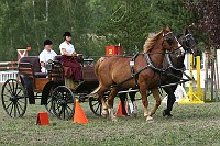 IMG_0090