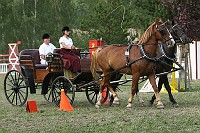 IMG_0091
