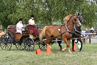 IMG_0092