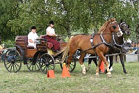 IMG_0093