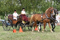 IMG_0094