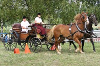 IMG_0095