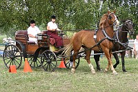 IMG_0096