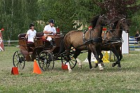 IMG_0099