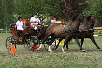 IMG_0100