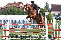 IMG_0006