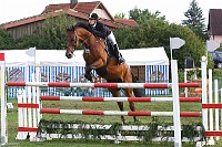 IMG_0050