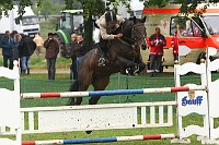 IMG_0008