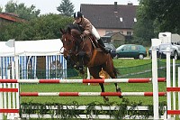 IMG_0013