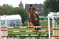 IMG_0029