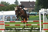 IMG_0041