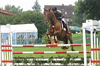 IMG_0082