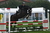 IMG_0012