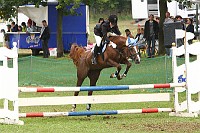 IMG_0020