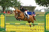 IMG_0031