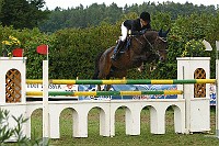IMG_0018