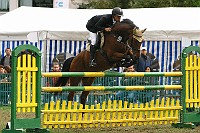 IMG_0061