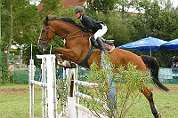 IMG_0013
