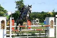 IMG_0031