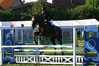 IMG_0010