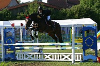 IMG_0002