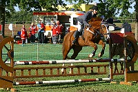 IMG_0008