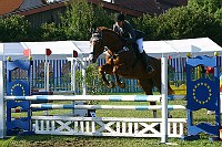 IMG_0009