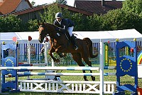 IMG_0011