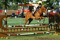 IMG_0012