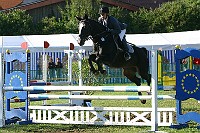 IMG_0017