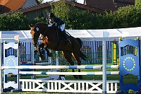 IMG_0017