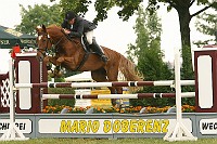 IMG_0168