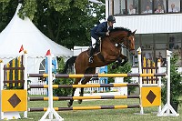 IMG_0004