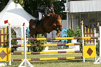 IMG_0030