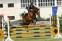 IMG_0006