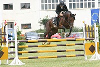 IMG_0036