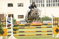 IMG_0042