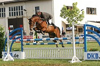 IMG_0029