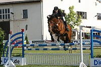 IMG_0053