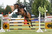 IMG_0012
