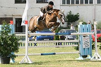 IMG_0017