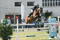 IMG_0060