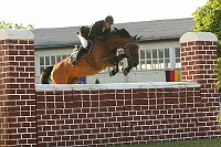 IMG_0060