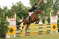 IMG_0010